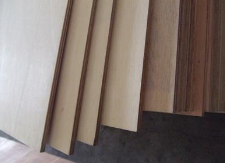 ľҵͯר̬壬ӵĳɳǰ