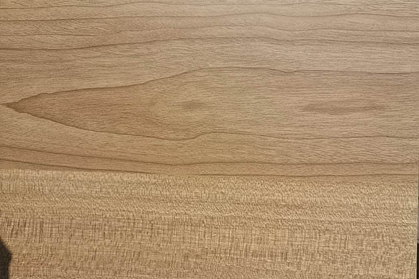 ʵľо̬ѡʱҪעʲô